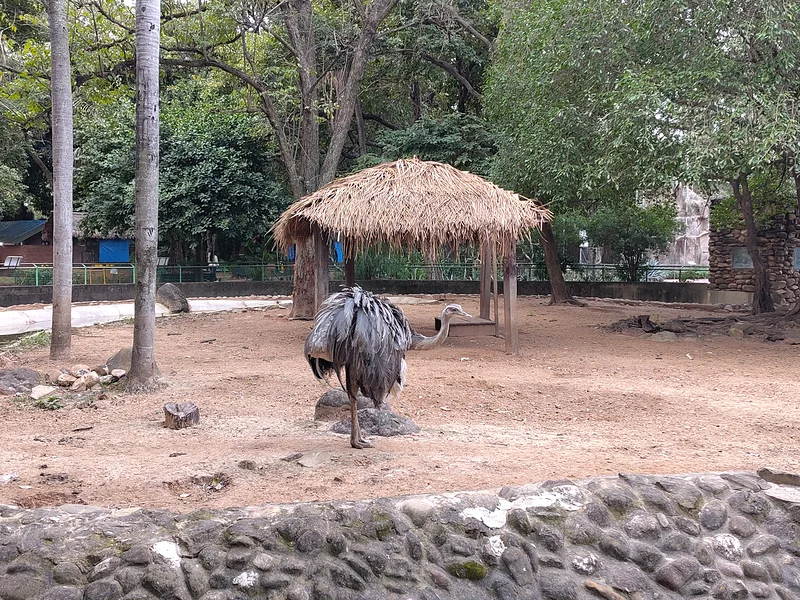 #17 Zoo de Santa Cruz