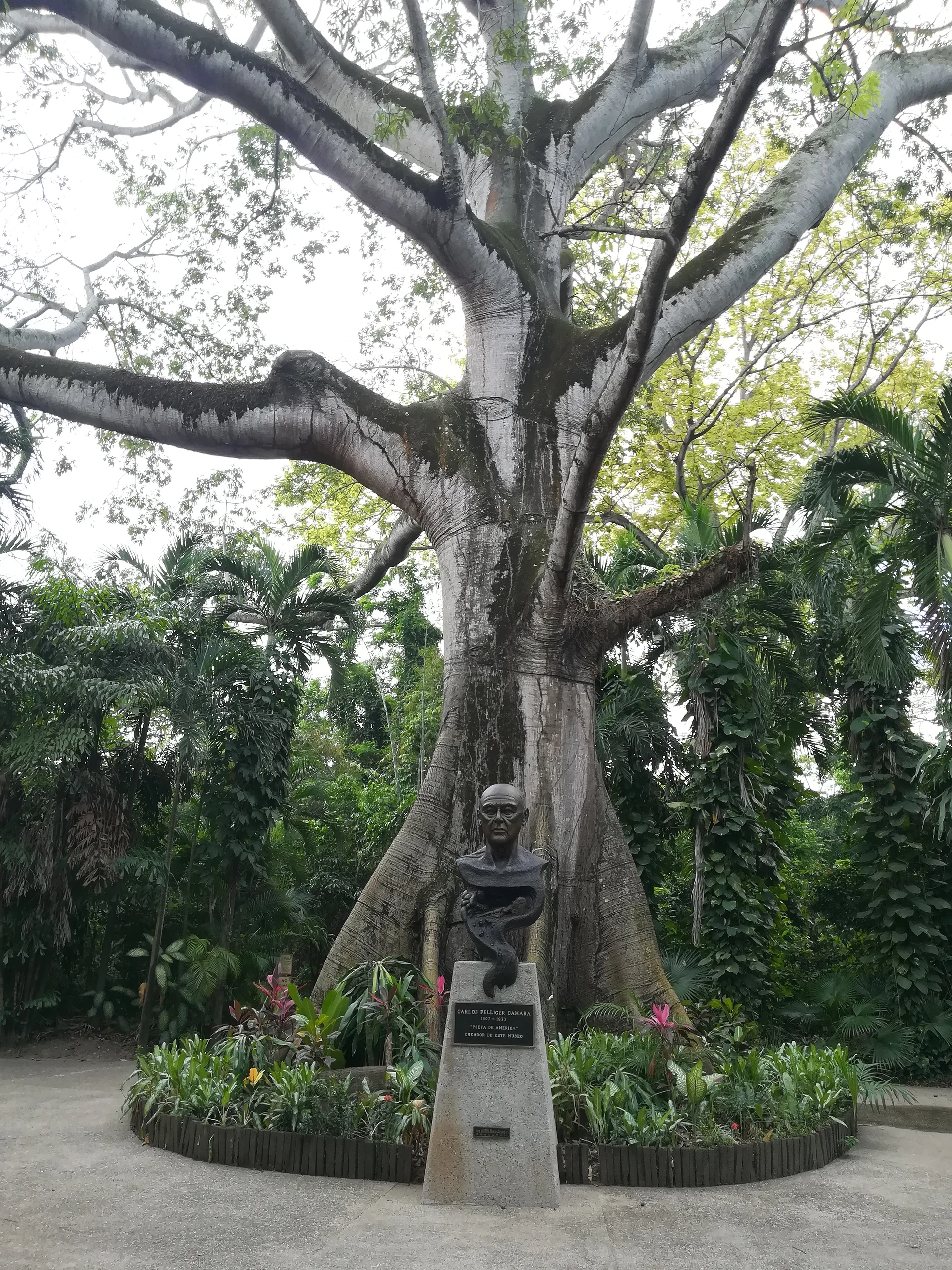 Carlos Pellicer Camara — Villahermosa (Mexique)