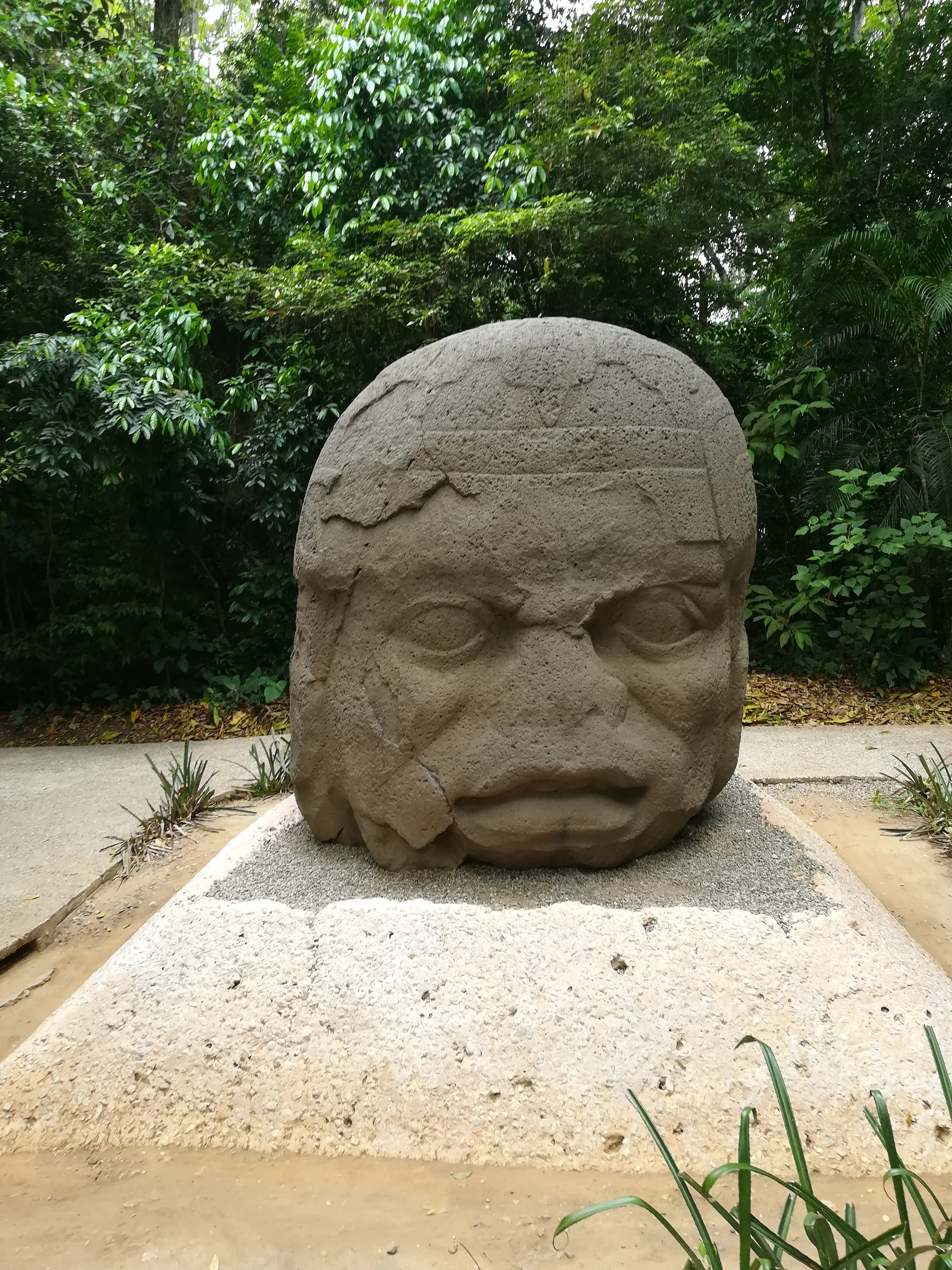 Tête olmèque 2 — Villahermosa (Mexique)
