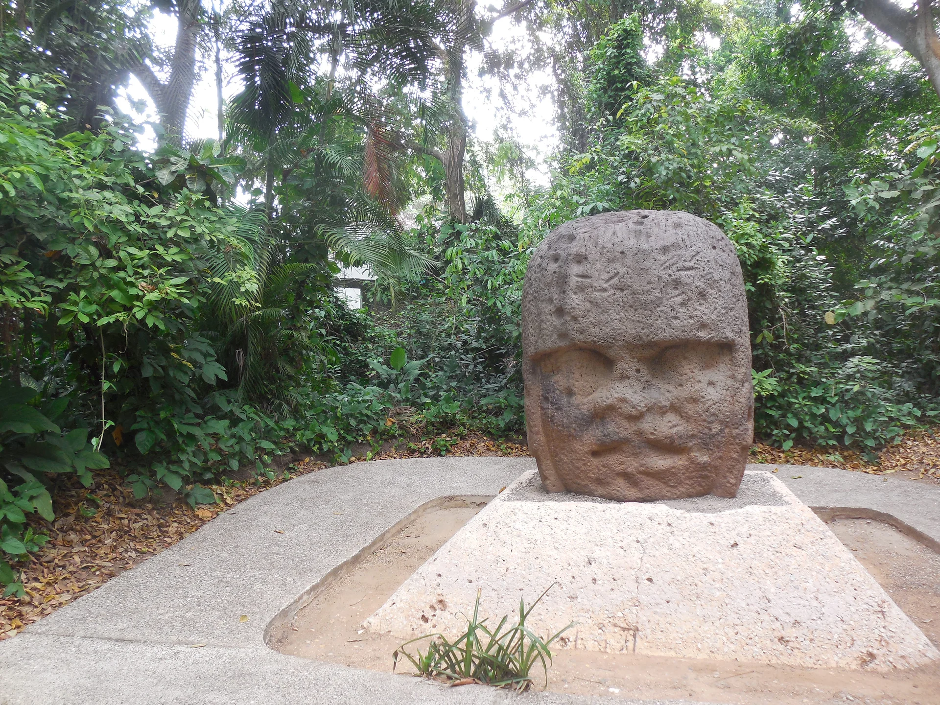 Tête olmèque 3 — Villahermosa (Mexique)