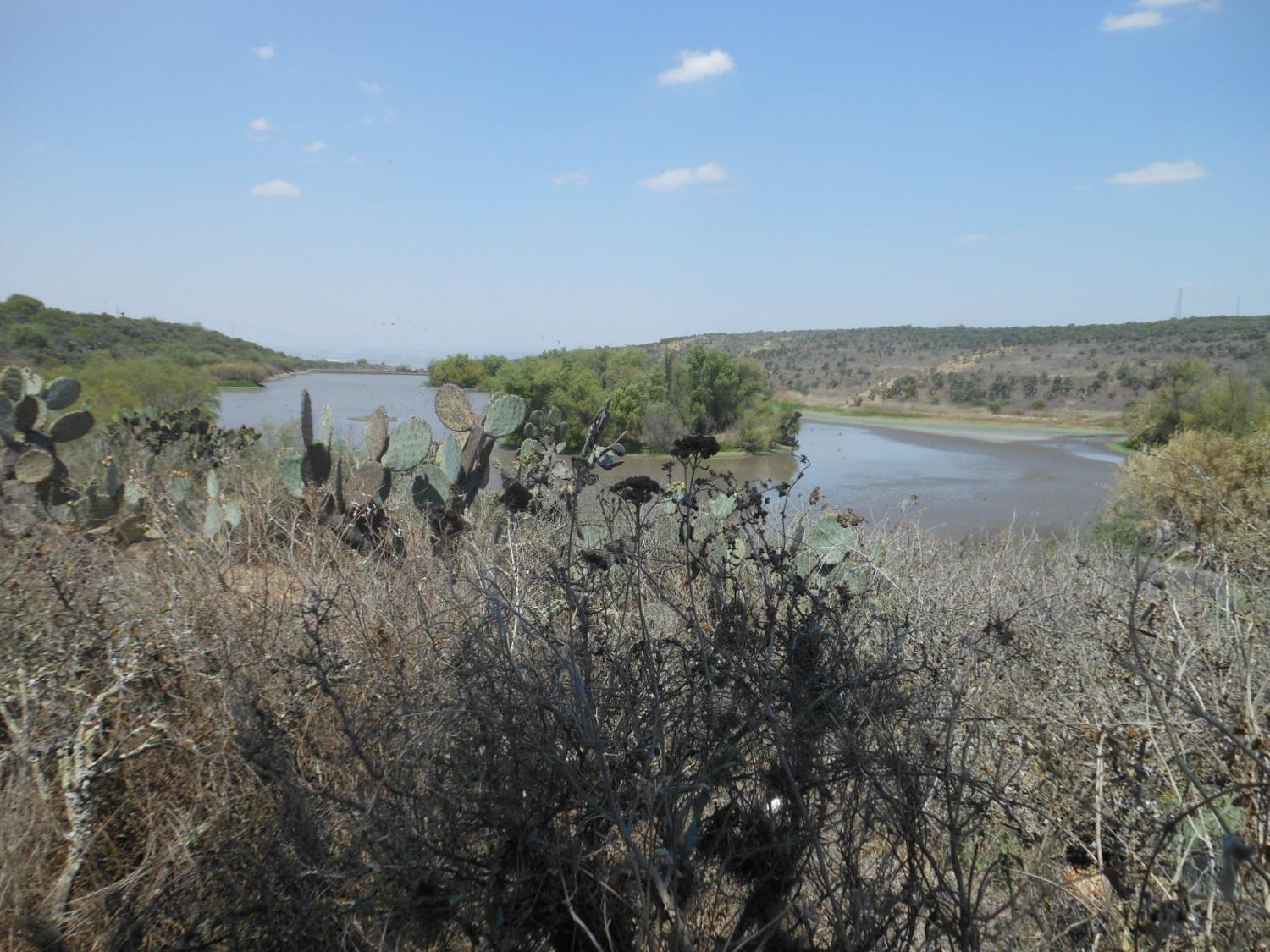 El Charco del Ingenio