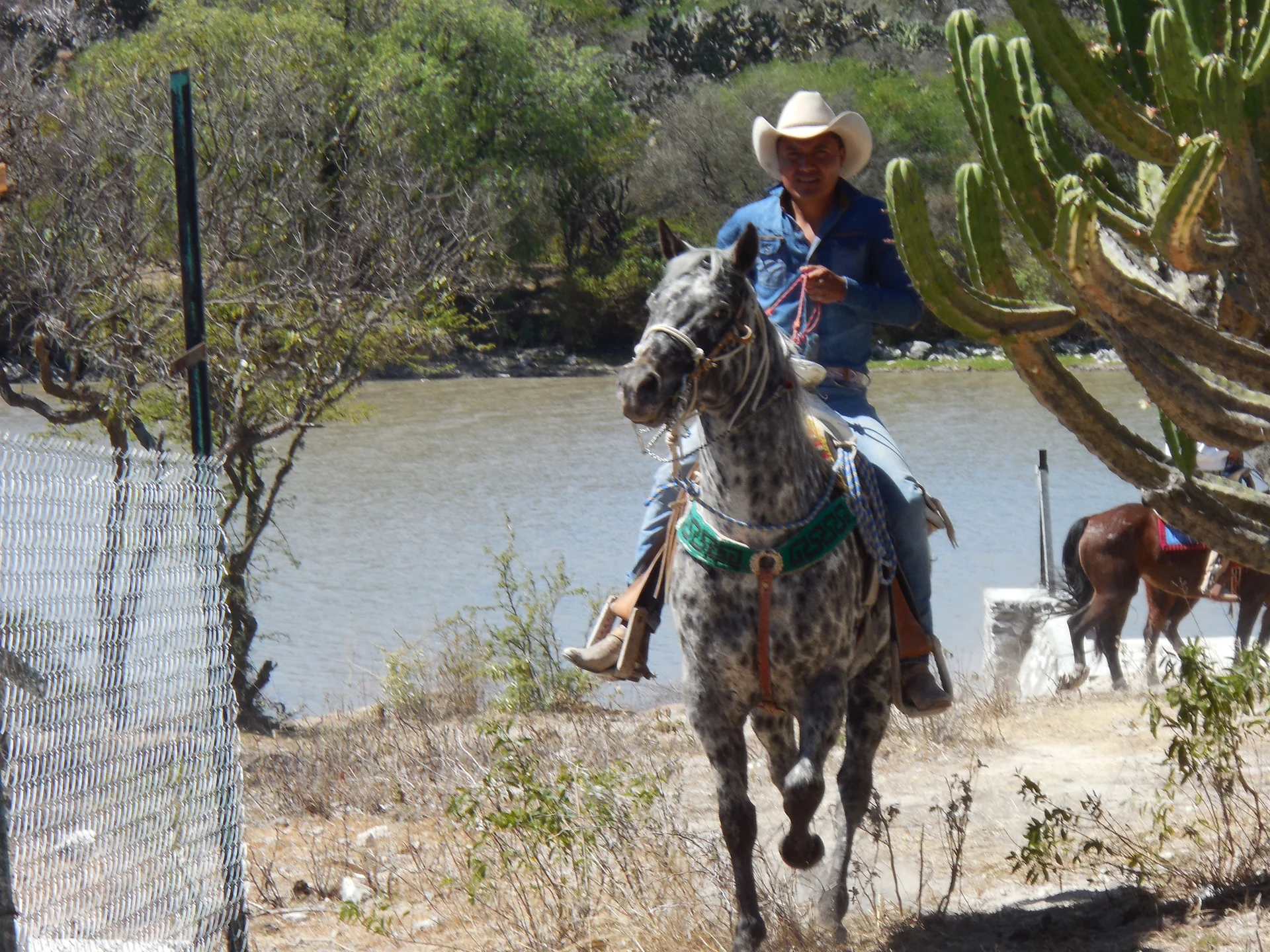 Un bel Hidalgo (Mexique)