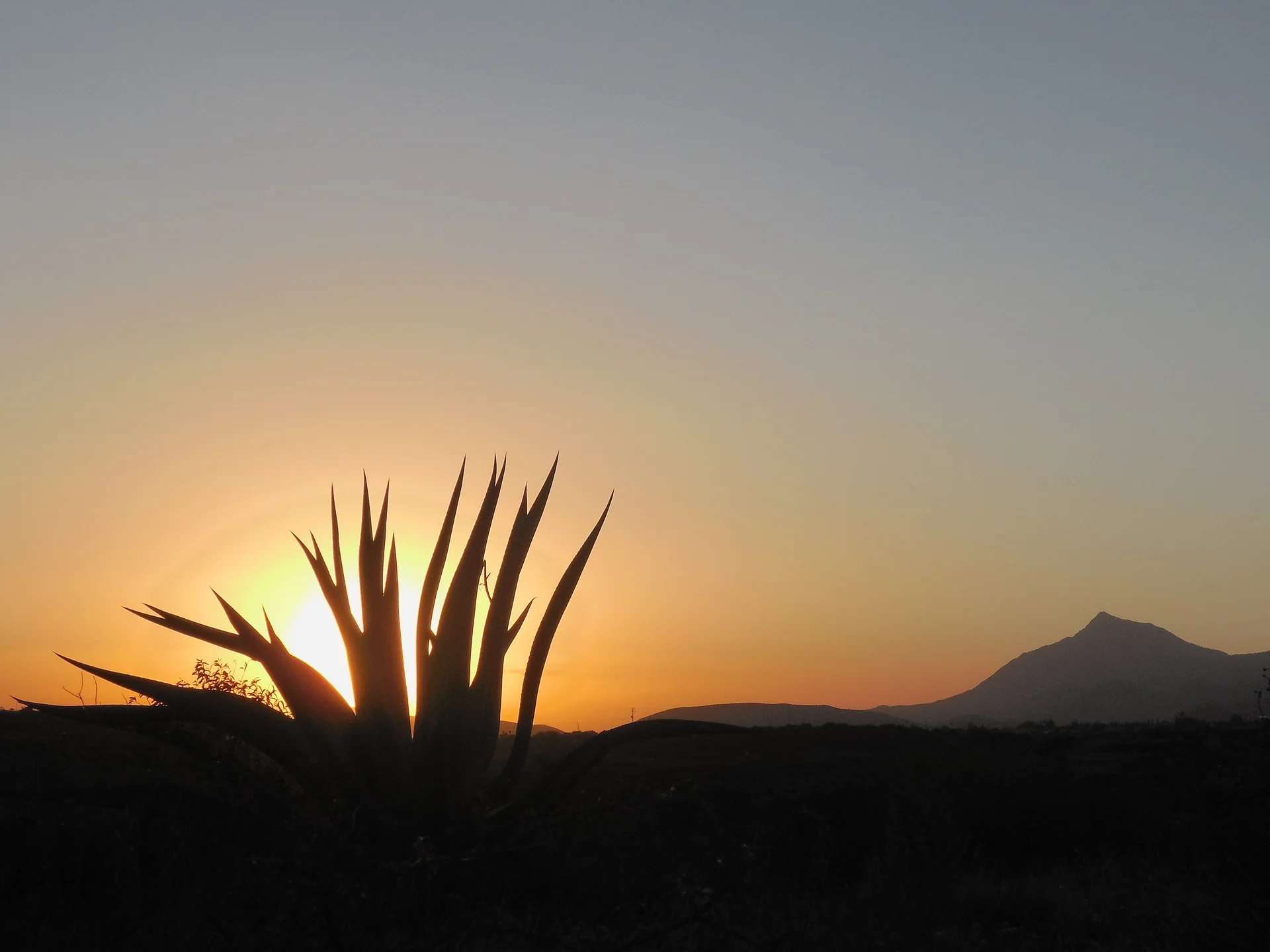 Paysages de Cardonal — Cardonal (Mexique)