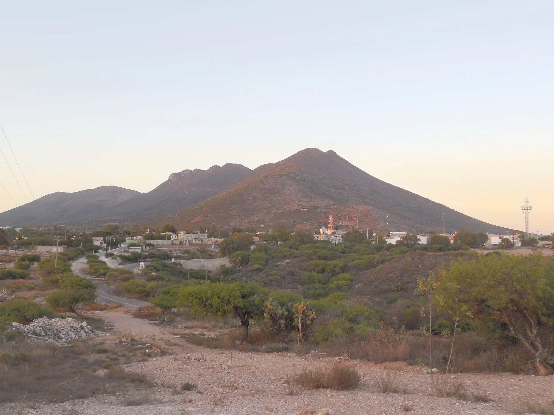 Cardonal — Cardonal (Mexique)