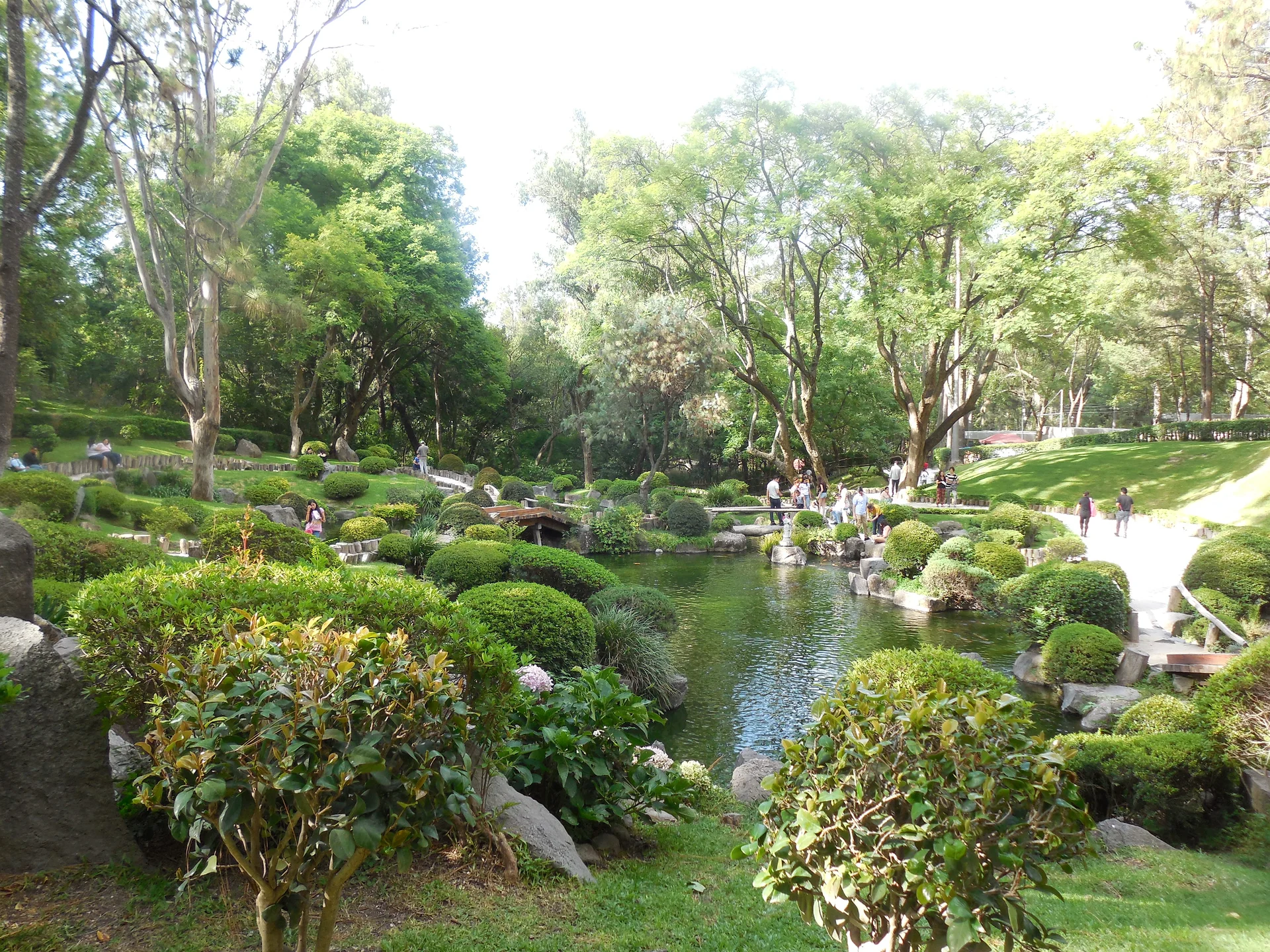 Bosque Los Colomos