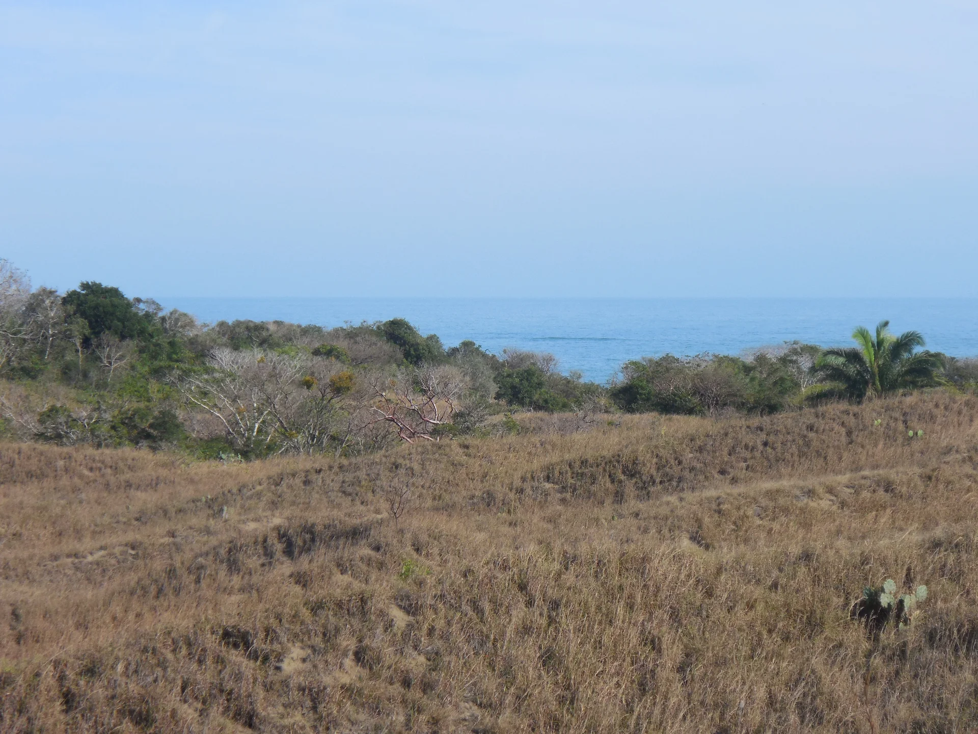 Les dunes de la Mancha (Mexique)