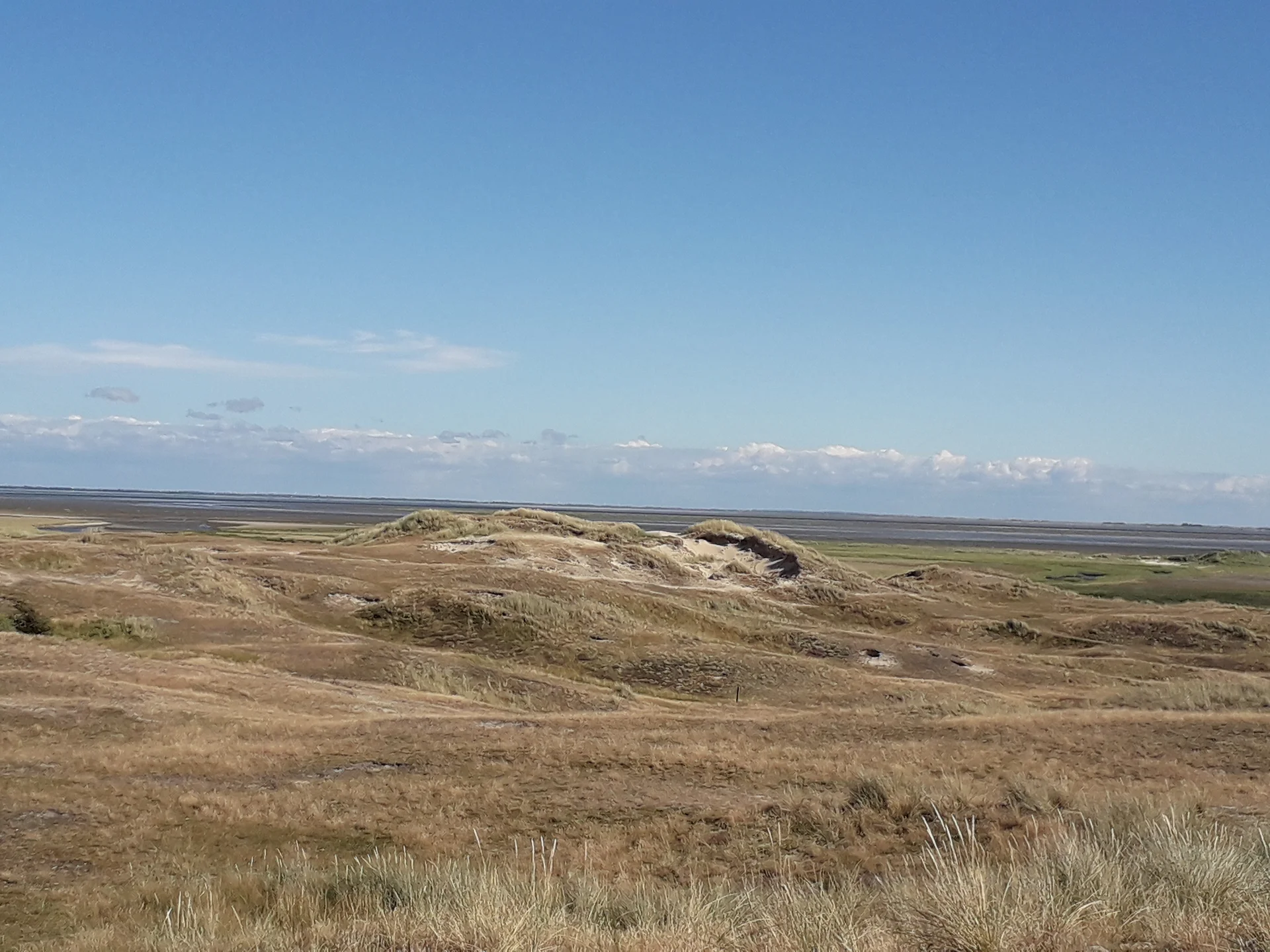 Les dunes — Plages de Fanø (Danemark)