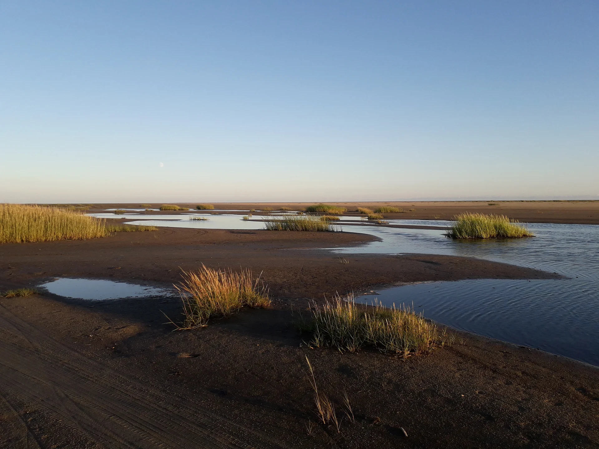 La plage Sud-Ouest — Plages de Fanø (Danemark)