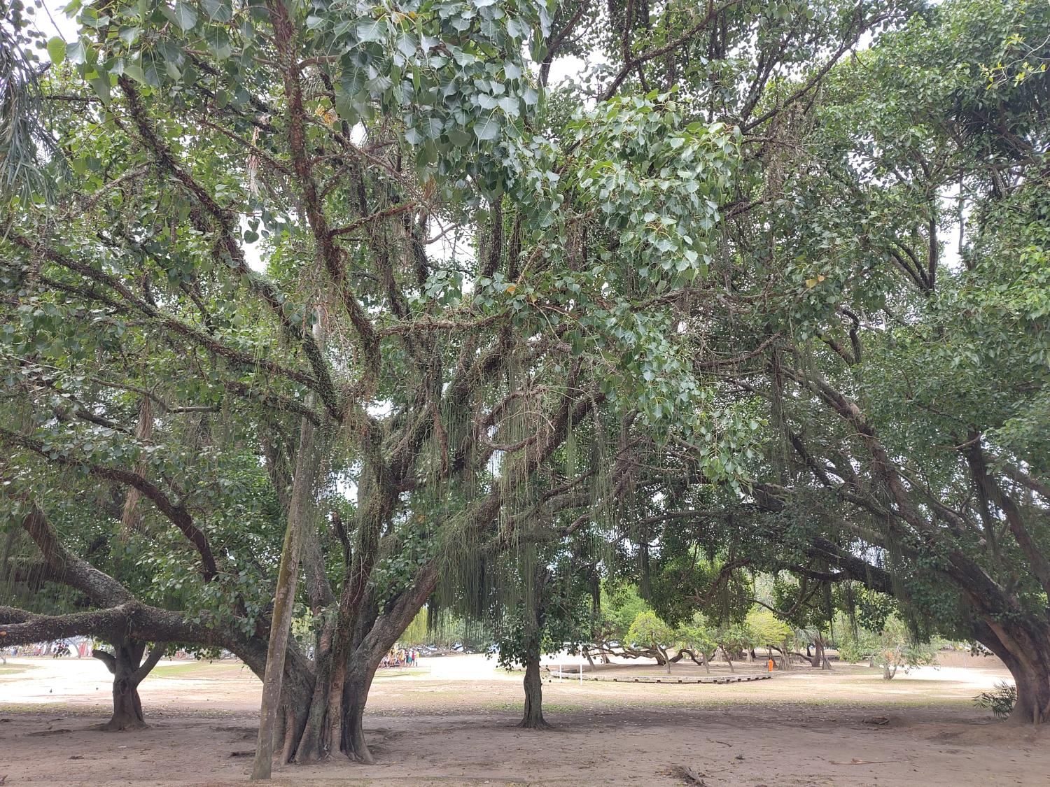Parque Aterro do Flamengo
