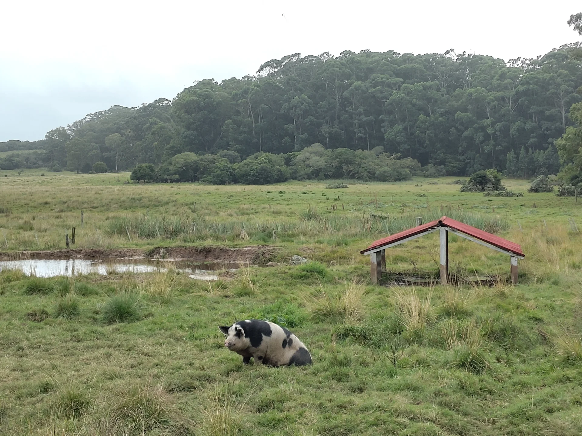 Parque Nacional de Santa Teresa