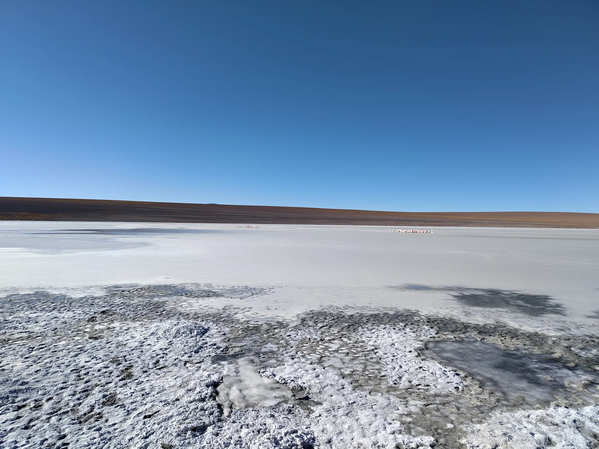Laguna Kollpa — Quetena Chico (Bolivie)