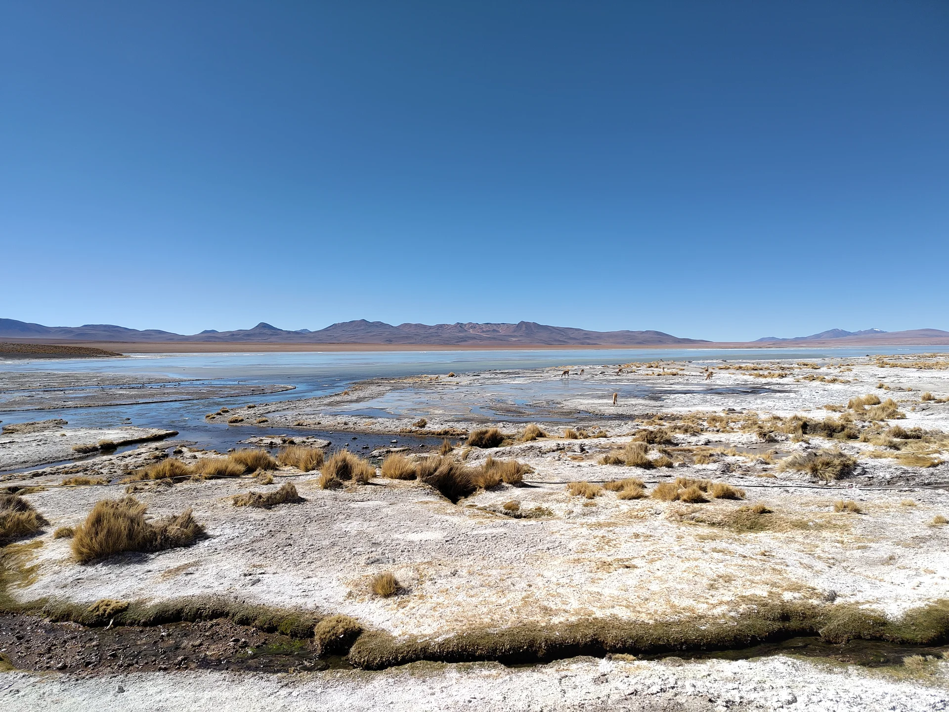 Termales de Polques — Quetena Chico (Bolivie)