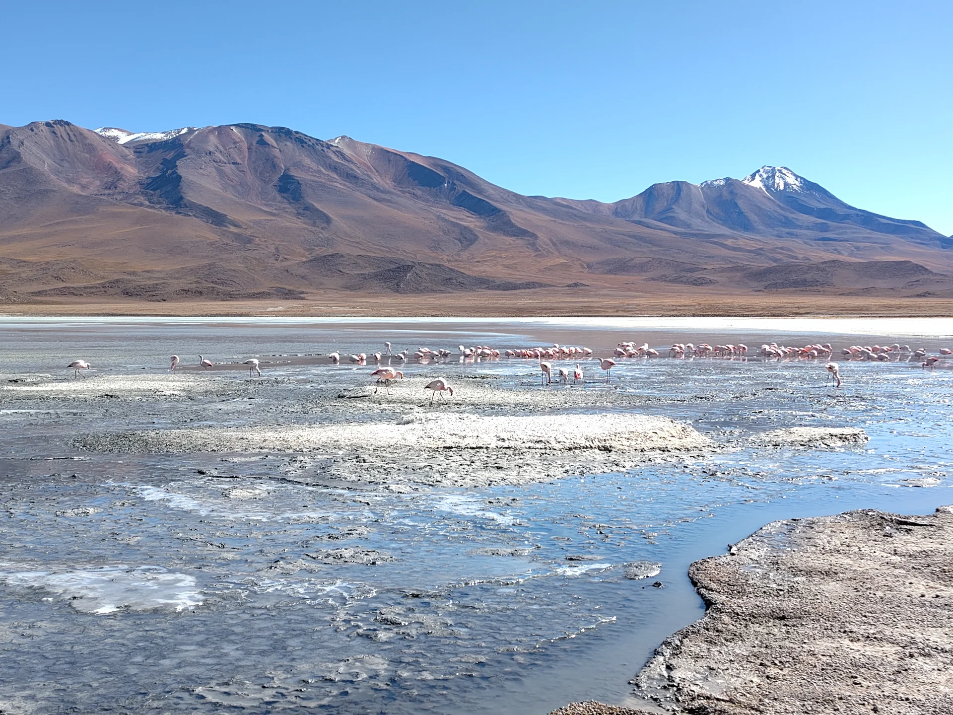 Laguna Hedionda — Laguna Hedionda (Bolivie)