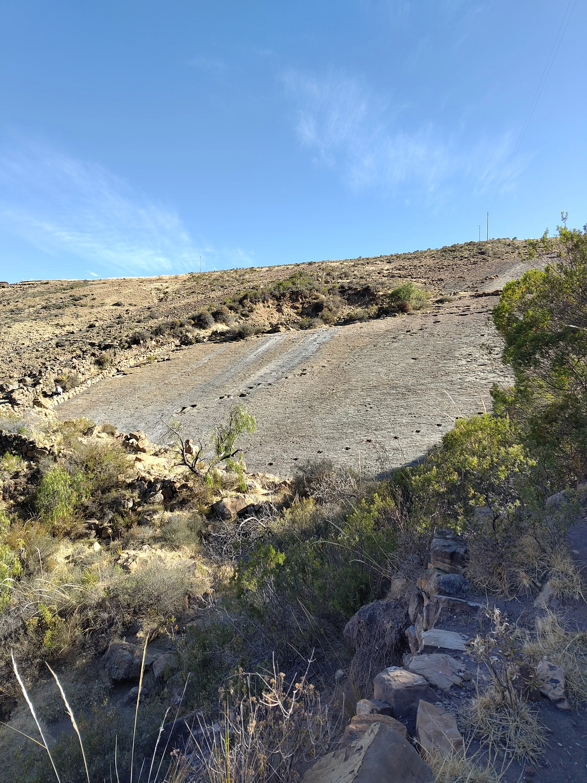 Empreintes de dinosaures  — Niñu Mayu (Bolivie)