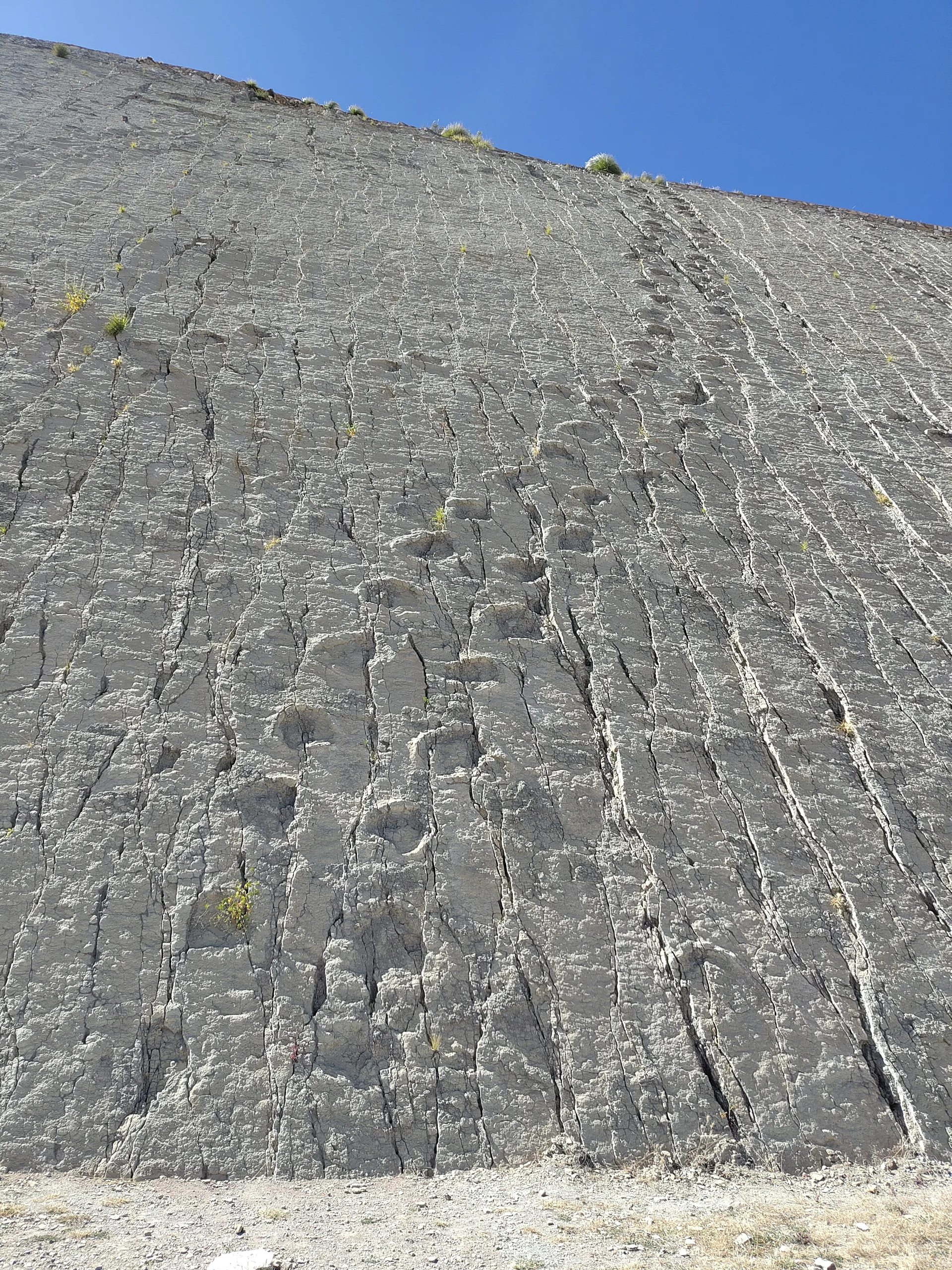 Parque Cretácico de Cal Orck'o — Sucre (Bolivie)