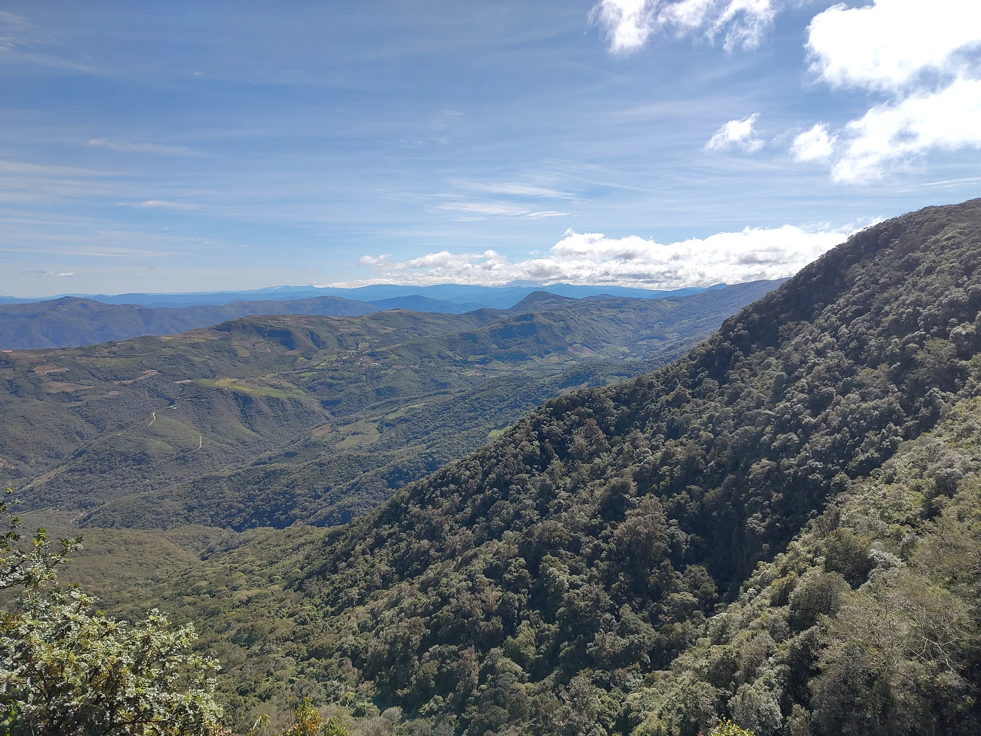Parque Nacional Amboró  — Parc national Amboró (Bolivie)
