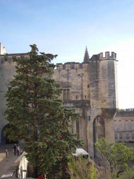 Mur du Palais des Papes