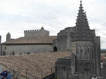 Toit du Palais des Papes