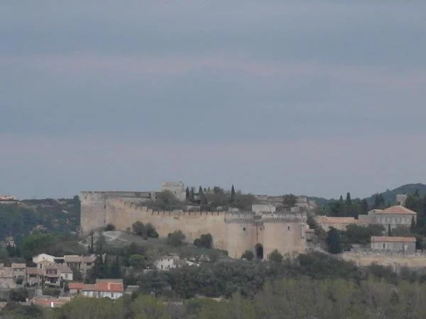 Fortifications proche d'Avignon — Avignon (France)