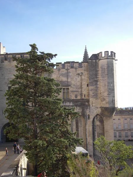 Mur du Palais des Papes — Palais des Papes (France)