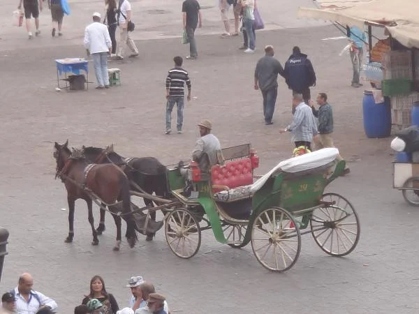 Calèche touristique — Place Jamaa El Fna (Maroc)