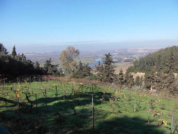 Environs de Rabat — Rabat (Maroc)