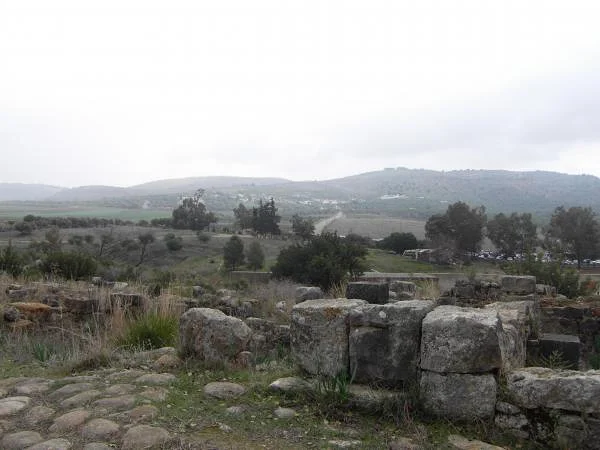 Au coeur des ruines — Site archéologique de Volubilis (Maroc)