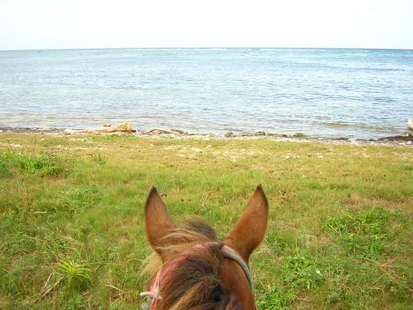 Vue a cheval
