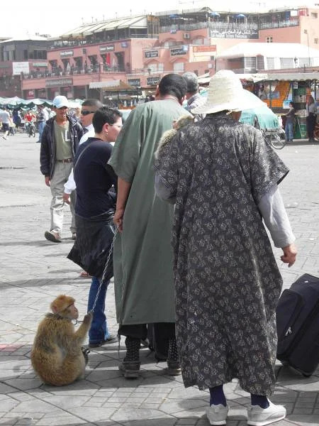 Dresseur de singe Dresseur de singe — Place Jamaa El Fna (Maroc)