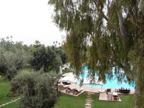Piscine de notre hôtel Piscine de notre hôtel — Marrakech (Maroc)