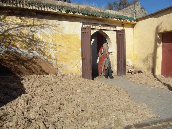 Atelier de laine à Fès — Fès (Maroc)