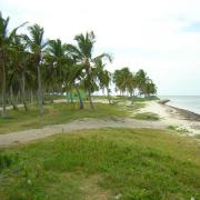 Une semaine de rêve à Punta Cana