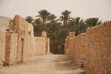 En allant vers la palmeraie