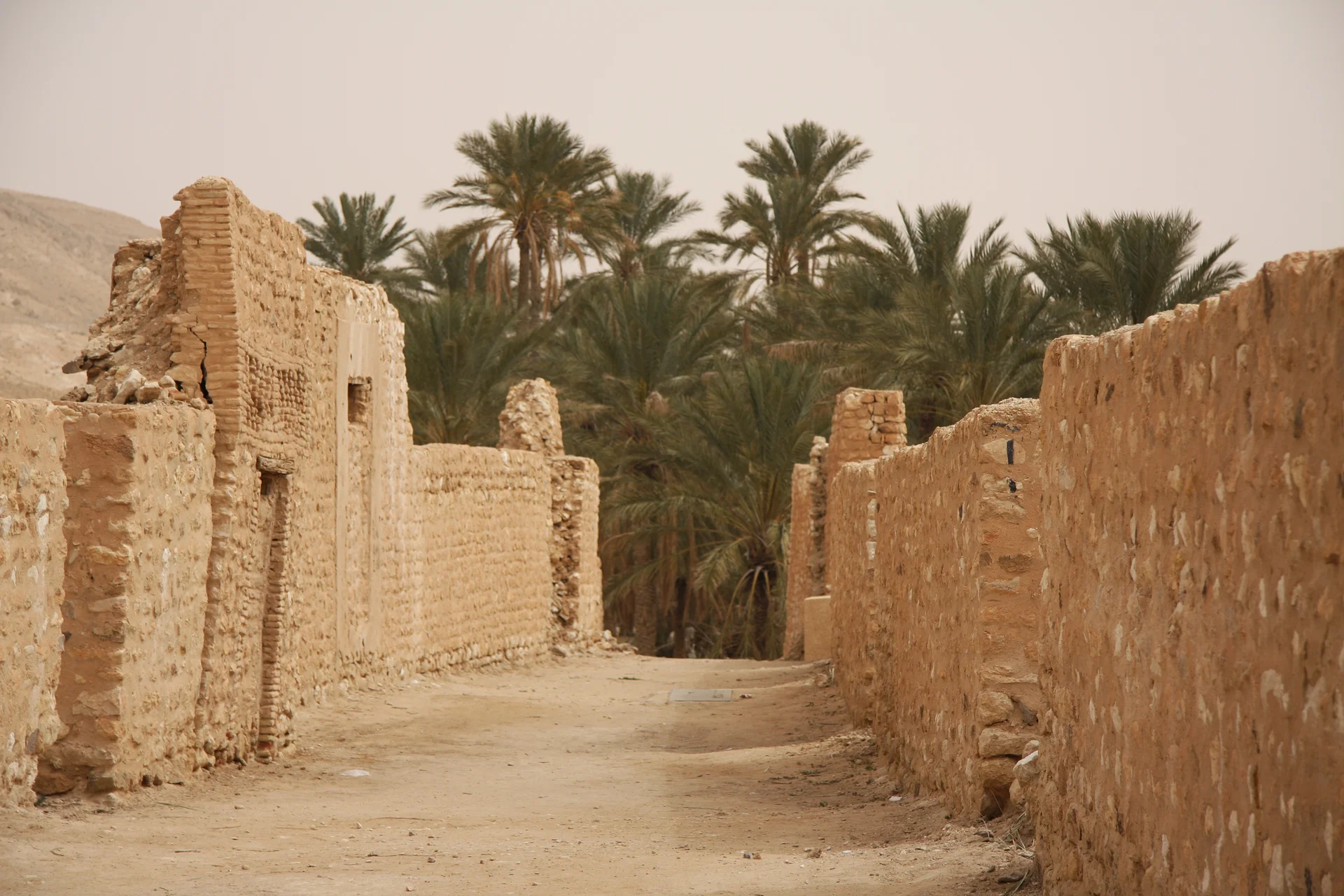En allant vers la palmeraie — Tamerza (Tunisie)