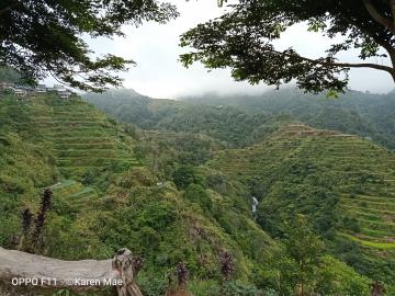 Rice terraces