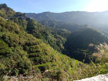 Rice terraces
