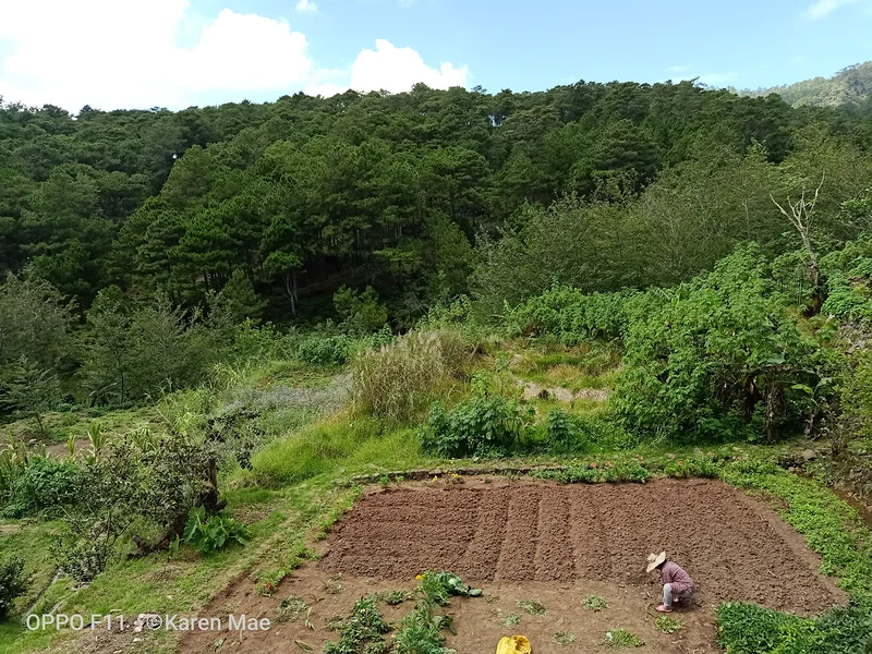 a farmland 
