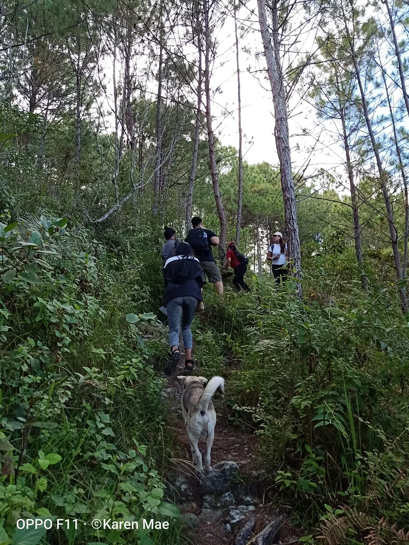 the hike