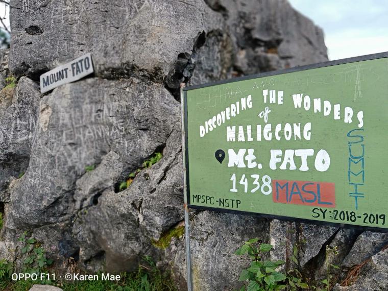 Signage 