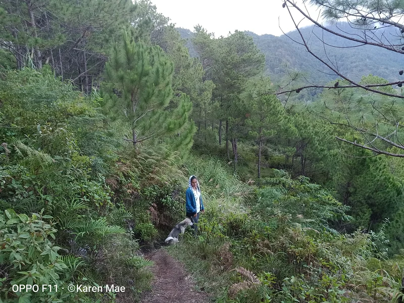 the new buddy — Bontoc (Philippines)