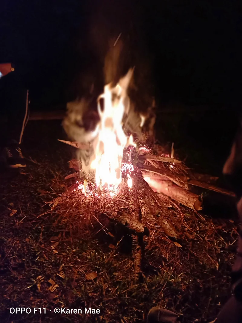 the bonfire