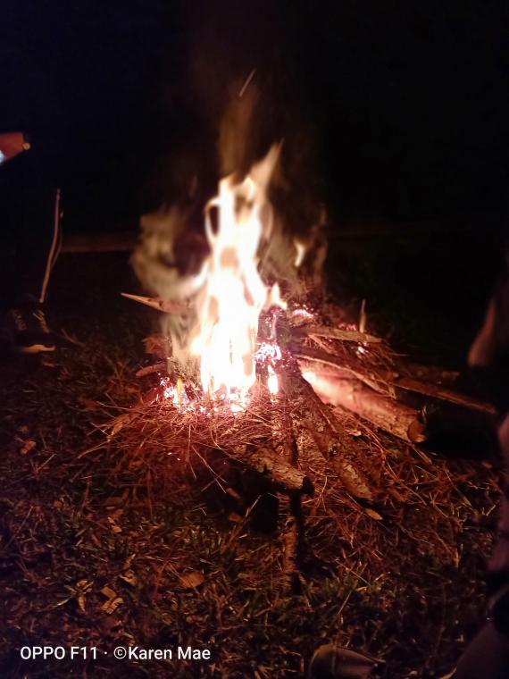 the bonfire