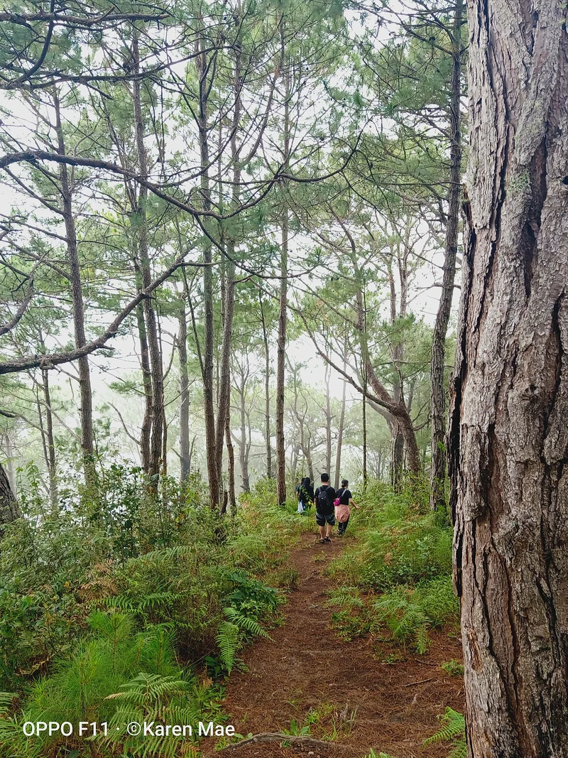 the trail  — Bontoc (Philippines)