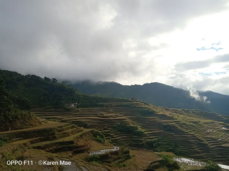the Maligcong rice terraces  — Terrasses de riz de Maligcong (Philippines)