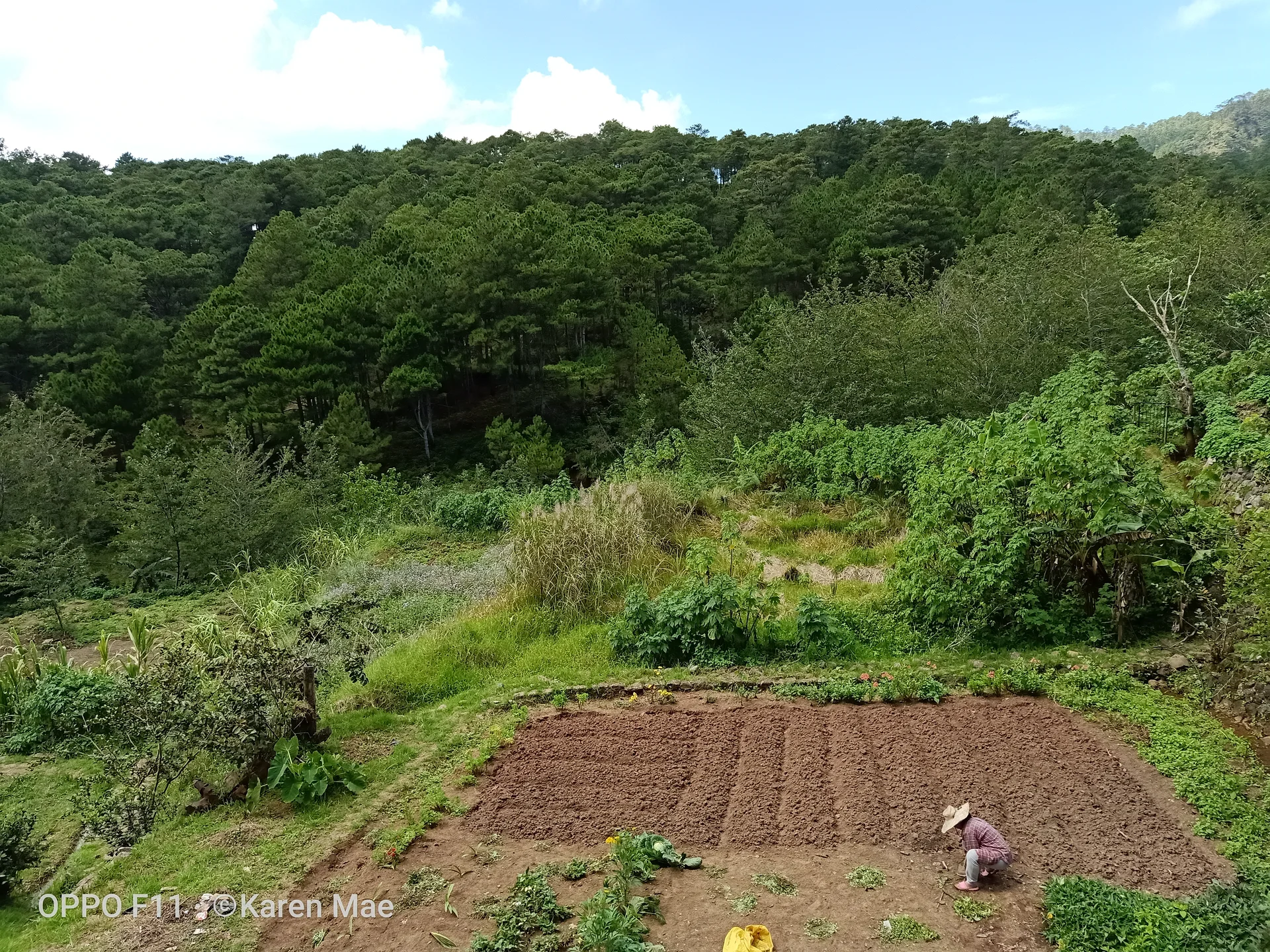 a farmland  — Sagada (Philippines)
