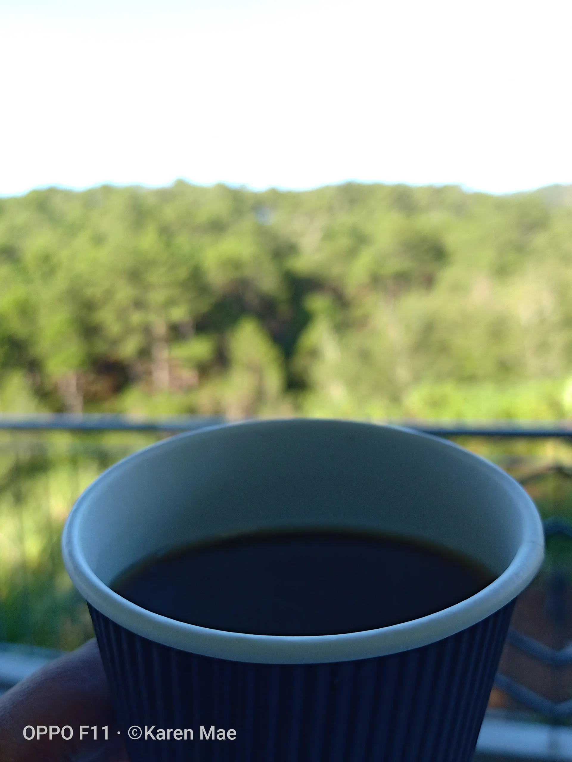 Sagada coffee — Sagada (Philippines)