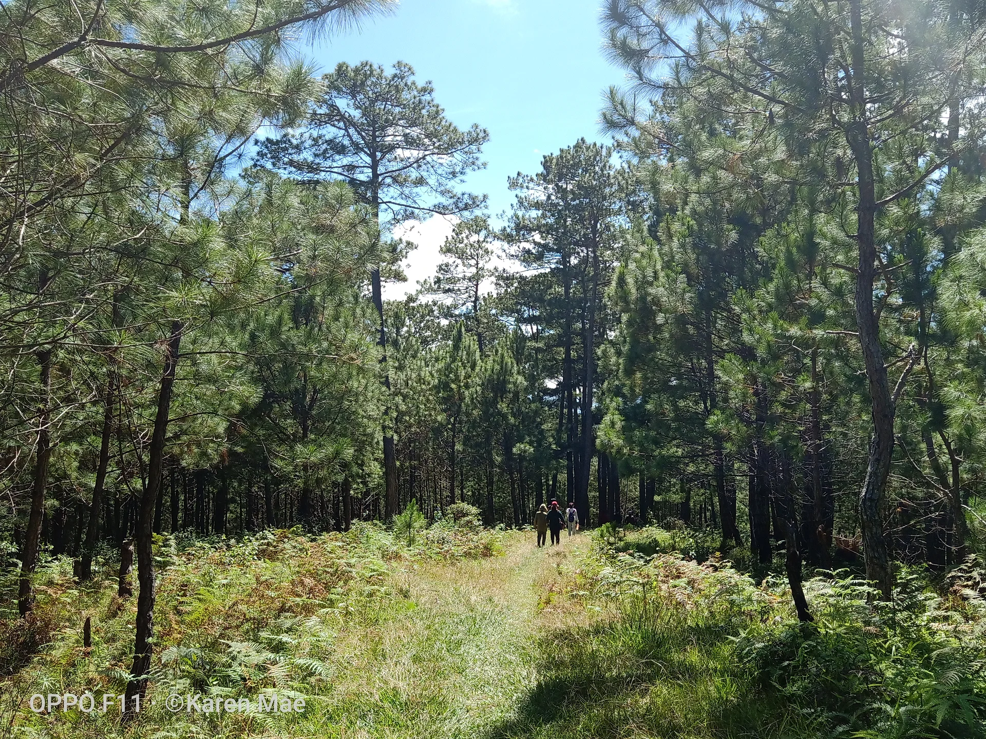 the path  — Sagada (Philippines)