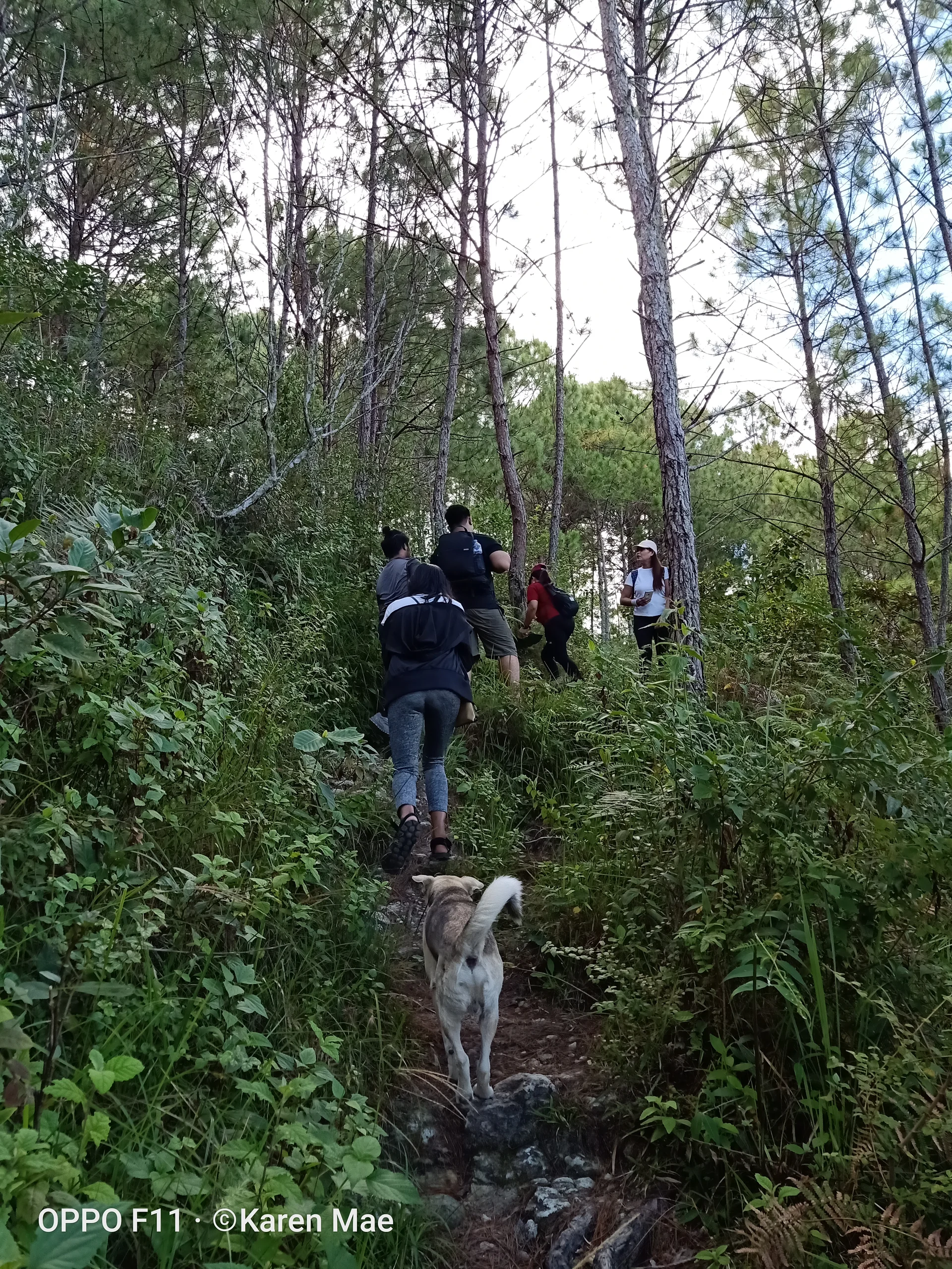 the hike — Bontoc (Philippines)