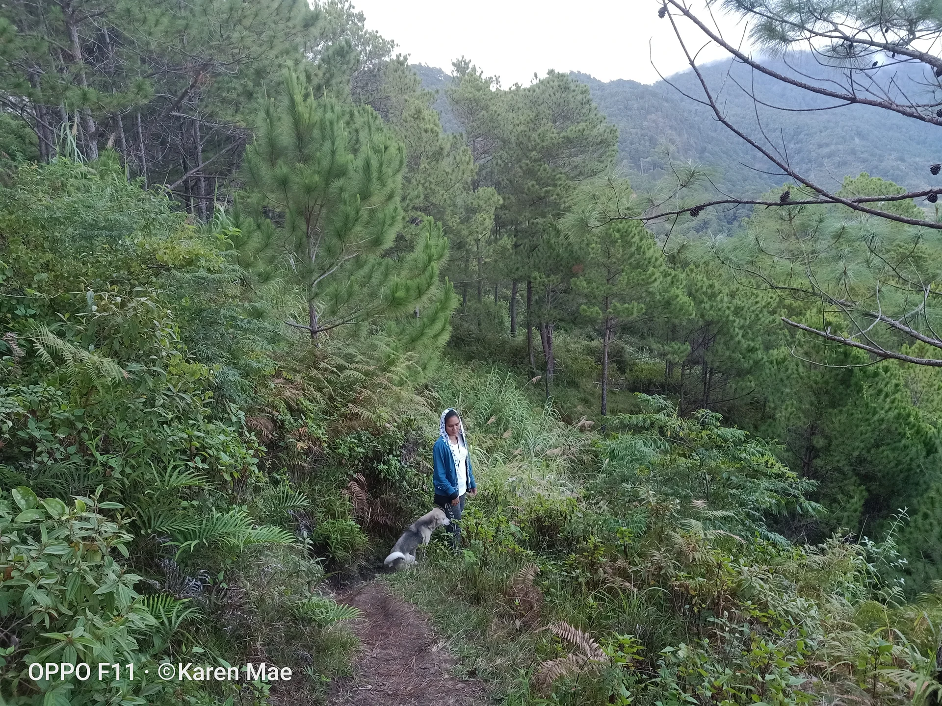 the new buddy — Bontoc (Philippines)