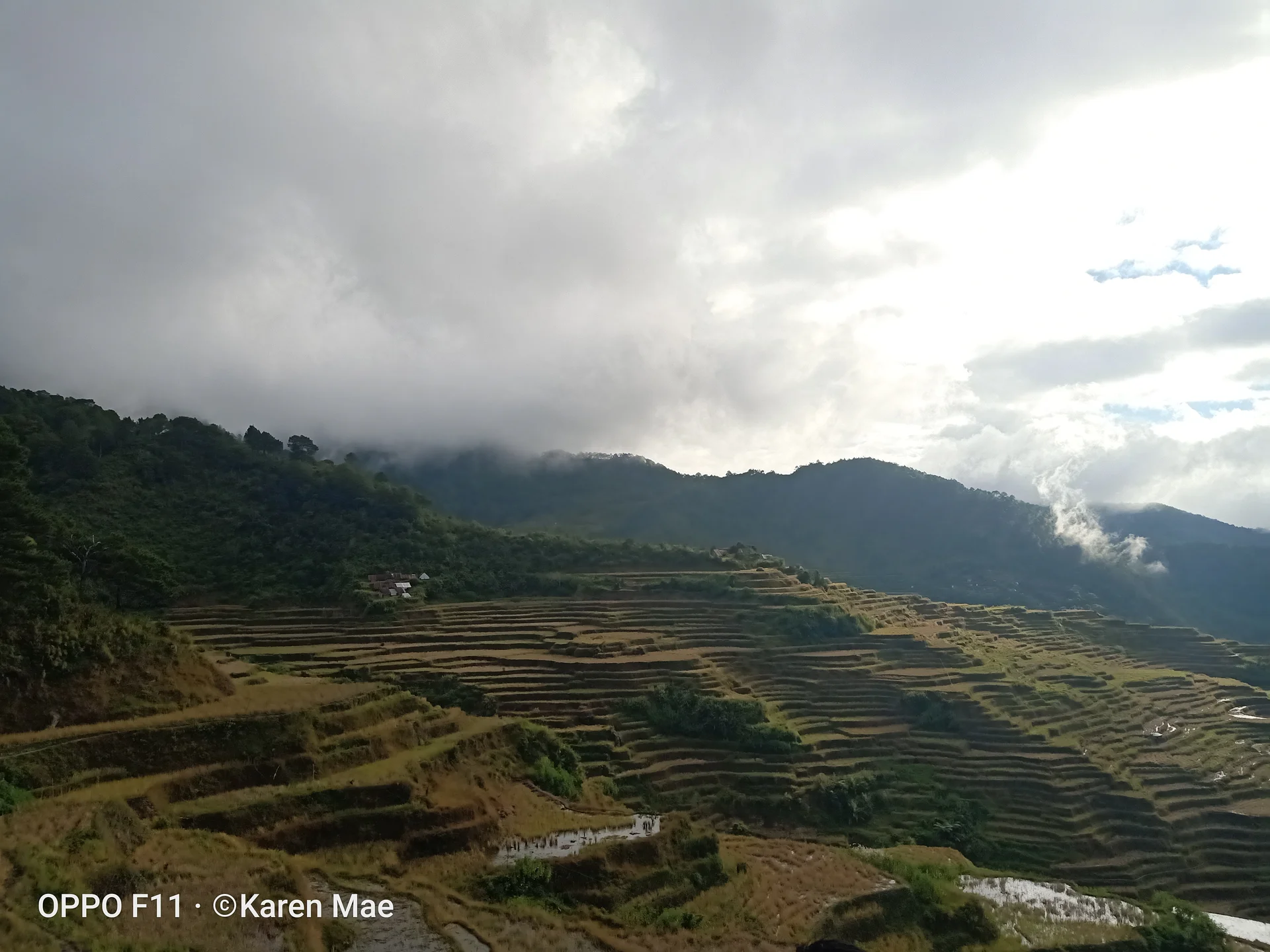 the Maligcong rice terraces  — Terrasses de riz de Maligcong (Philippines)